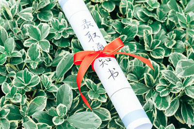 風(fēng)景園林學(xué)在職研究生報(bào)考條件及流程是什么？