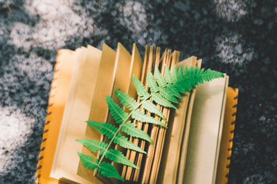 武漢理工大學在職研究生
