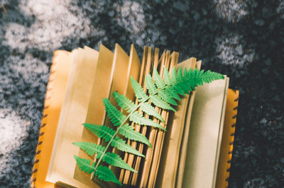 武漢理工大學(xué)在職研究生