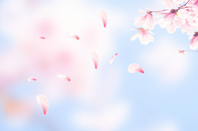 報考2019年在職研究生需要做哪些準(zhǔn)備？