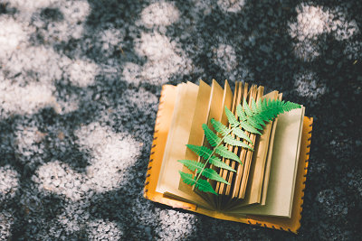 證書含金量