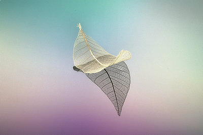 同等學(xué)力——免試入學(xué)、補(bǔ)考機(jī)會(huì)多