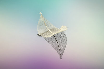 在職研究生招生專業(yè)