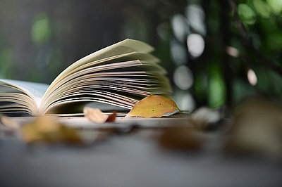 大專報(bào)考在職研究生拿到的證書含金量怎么樣？