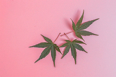 報(bào)考在職研究生的原因有哪些？