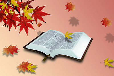 在職研究生學(xué)位證書怎么獲得？